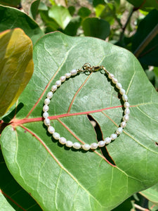 Freshwater Pearls and Gold Bracelet
