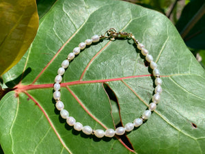 Freshwater Pearls and Gold Bracelet