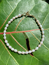 Freshwater Pearls and Gold Bracelet