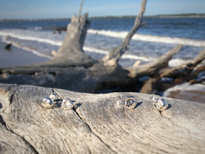 Seawater Earrings