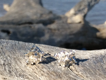 Sea Salt Earrings